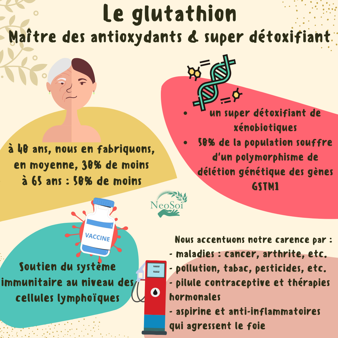 à quoi sert le glutathion Le glutathion : le maître des antioxydants ; un allié pour l'immunité