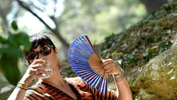 Les 4 gestes à privilégier en cas de canicule