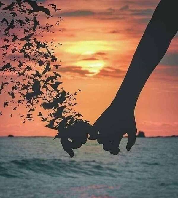 Lâcheté ou l'art de ne pas respecter l'autre