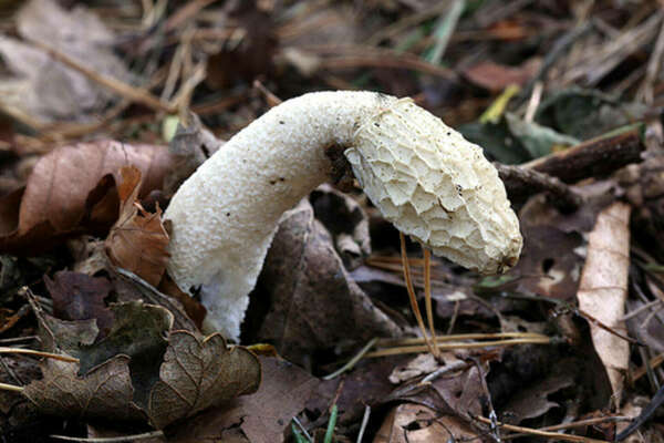 Troubles de l’érection après 40 ans : comprendre le désir masculin et retrouver la puissance du lien