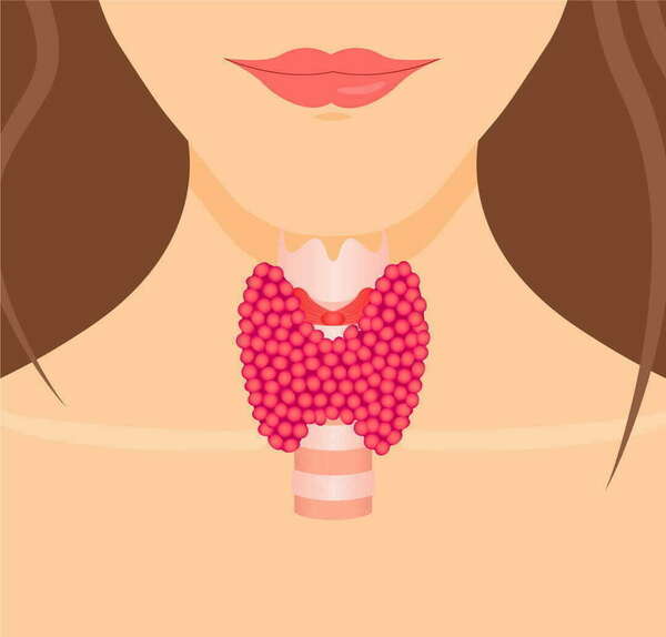Hypothyroïdie et naturopathie 