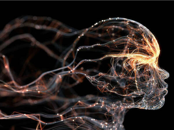 Le nerf vague, ce grand oublié de l’amour : comprendre la théorie polyvagale pour apaiser le lien