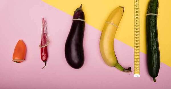 Pénis de chair, pénis de sang : ce que dit vraiment la science (et pourquoi cette distinction est trompeuse)