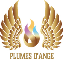 Logo Plumes d'Ange