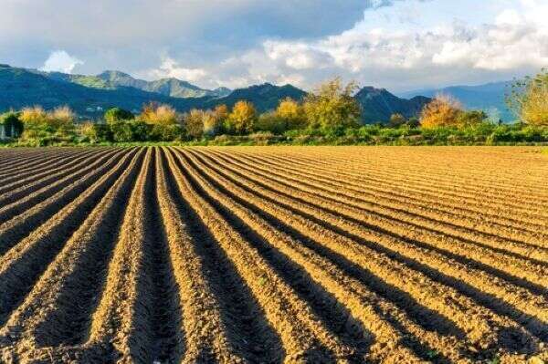 Valeur vénale moyenne des terres labourables et des prairies naturelles en 2025 pour les terres agricoles d'au moins 70 ares, libres à la vente
