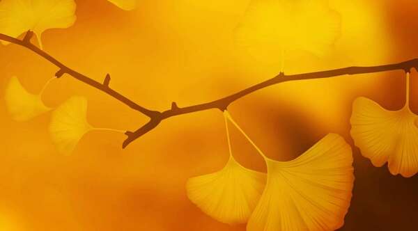 Atelier DO IN Spécial automne