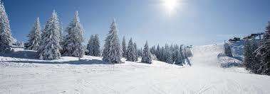 Comment traverser l'hiver avec plus de vitalité?