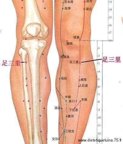 Le point du lundi #2