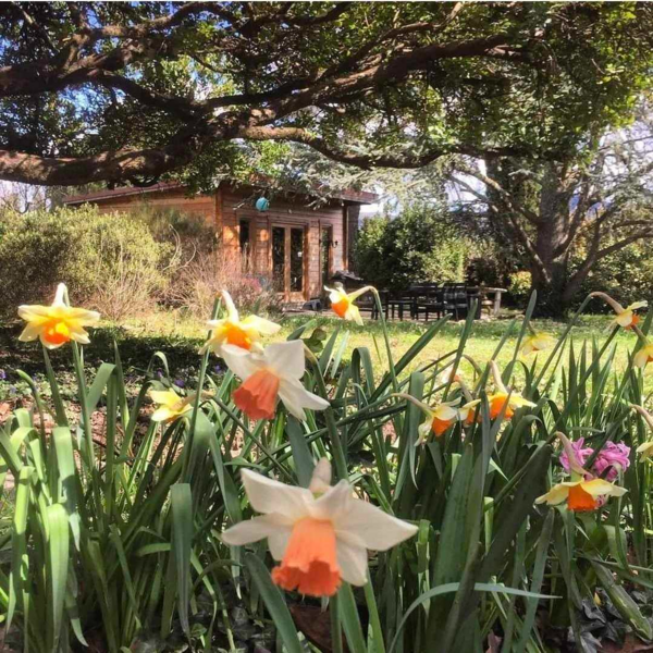Partage d'expérience d'une marche consciente 