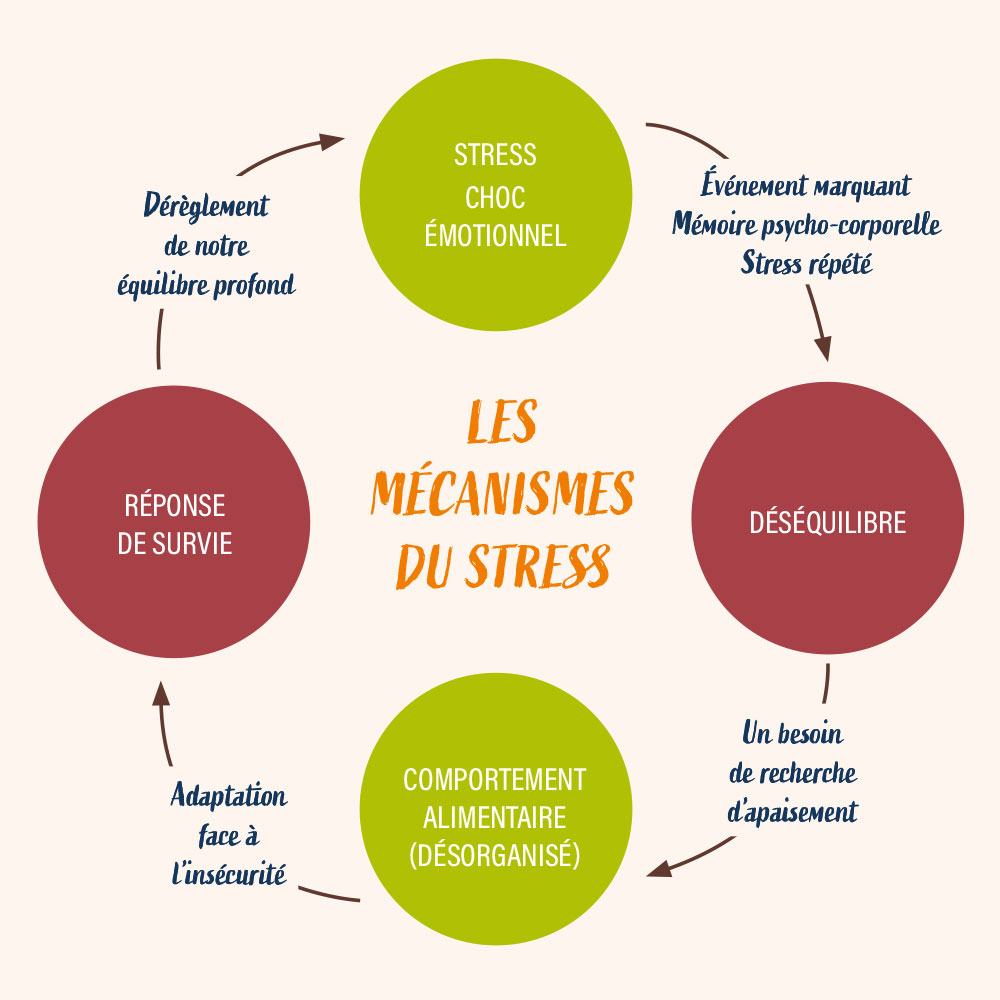 traumatismes et comportement alimentaire