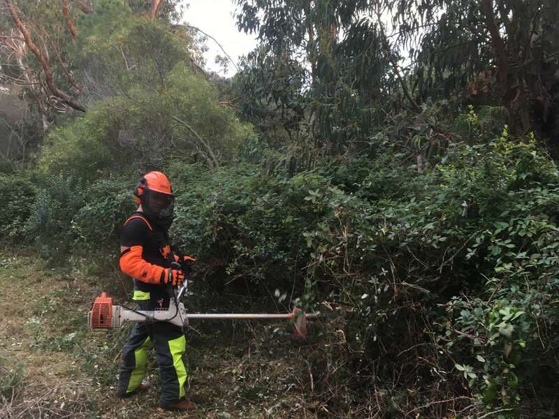 debroussaillage_pianottoli_1