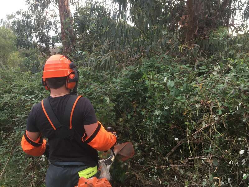 debroussaillage_pianottoli2