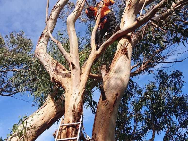 63d9bcf4-fbc7-4fb8-b31a-9b6bf4a3224520201127-3378172-119xqb7