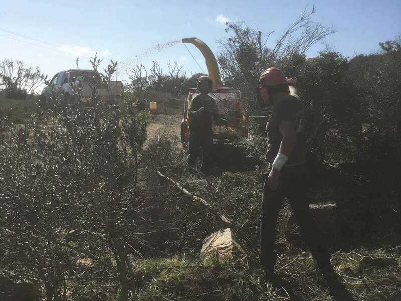 def8b4b9-1191-4aa8-a9d6-53caea4fc72920201127-3378172-17kt297