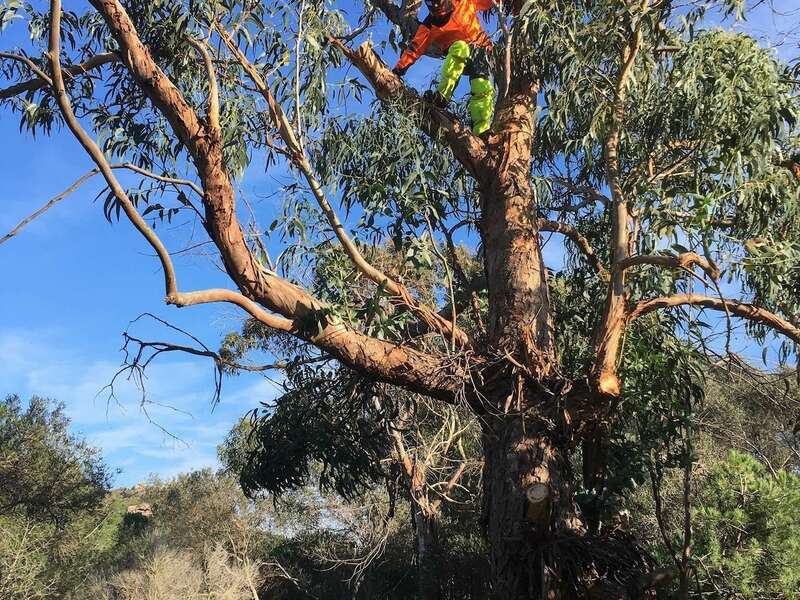 ca73c06c-1064-4227-bbe0-ad8d9f96c6f220201127-3378172-1a5leh2