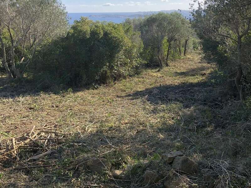 c8c62a38-61f3-42bb-9327-8210b007a36720201127-3378172-1663kpq