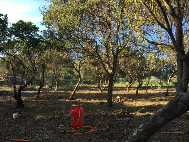 0964dba7-5af7-4c39-9942-8ac774672bf520201127-3378172-1n1l5j4