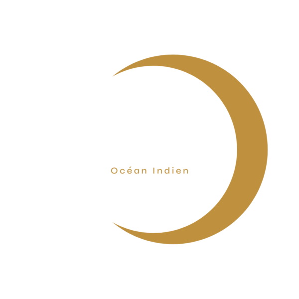 Logo ALIZES INVEST OCEAN INDIEN