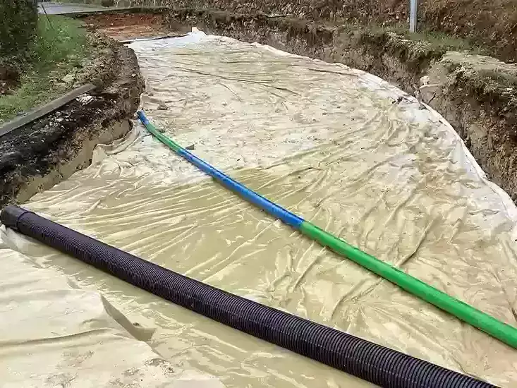 conseil-departemental-purge