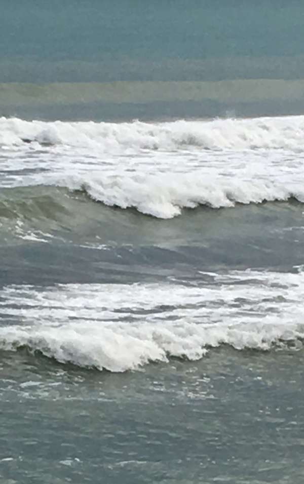 L’hypnose est un état naturel