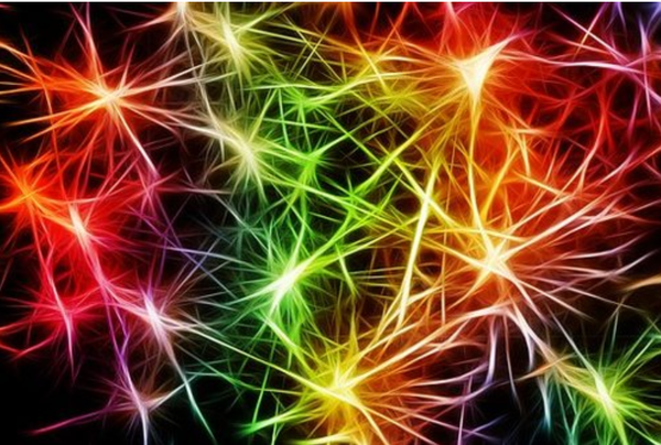 Comment favoriser la création de nouveaux neurones dans notre cerveau ?