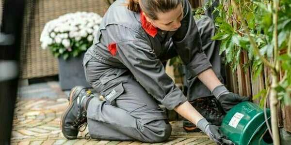 AAF La Providence pest control