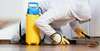 AAF La Providence bed bugs invasion in Paris