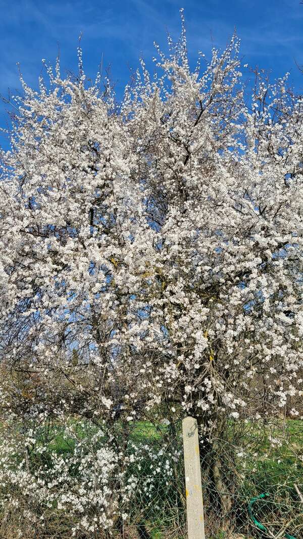 Se mettre au courant....