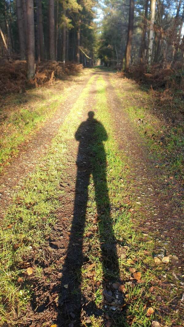 Le Reiki 3 c'est pour maintenant?