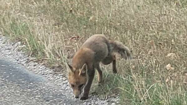 Le jeu sacré de la vie 