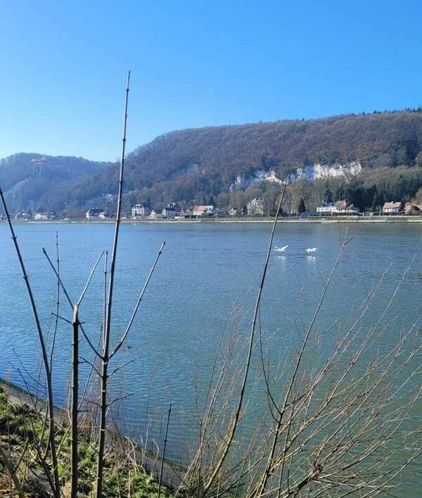 La brume et la foi...