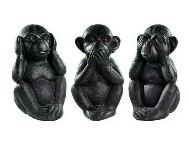 Les 3 singes