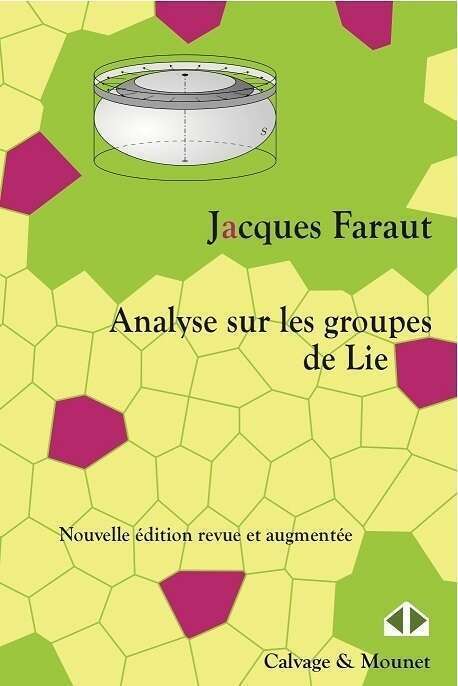 Analyse sur les groupes de Lie