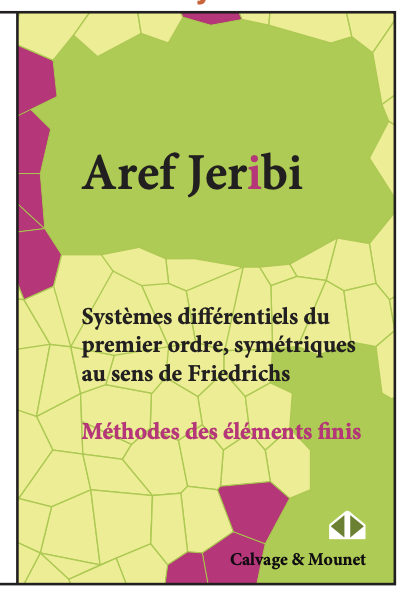 Systèmes diérentiels du premier ordre, symétriques au sens de Friedrichs