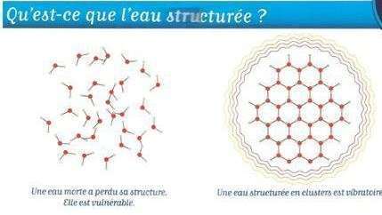EAU STRUCTURÉE
