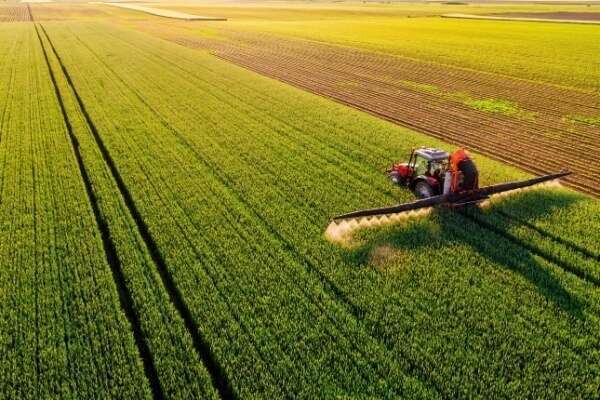 Non-salariés agricoles : quelle indemnité en cas d’arrêt de travail professionnel ?