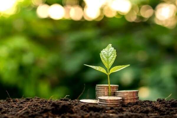 Prise en charge des cotisations sociales par la MSA : assouplissement de la procédure