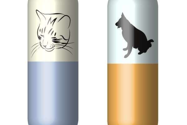 Vente en ligne de médicaments vétérinaires : déclarer son activité