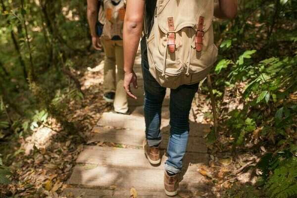 Les balades sophro-méditatives en forêt
