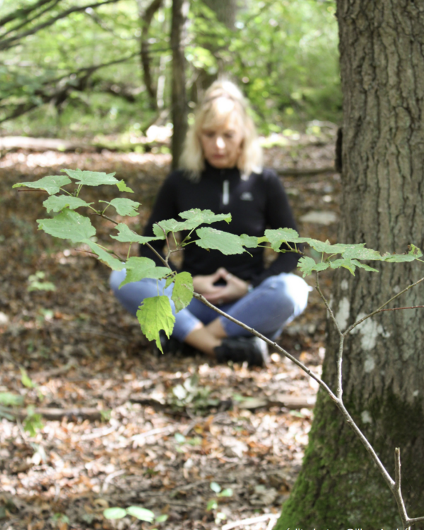 L’Automne, la saison pour s’ancrer et revenir à soi