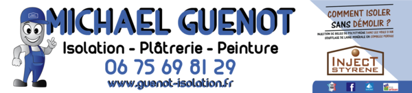Logo Michael Guenot isolation et décoration