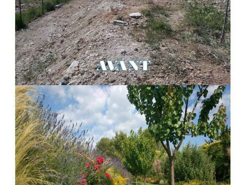 320210501-2571990-8pc9bn