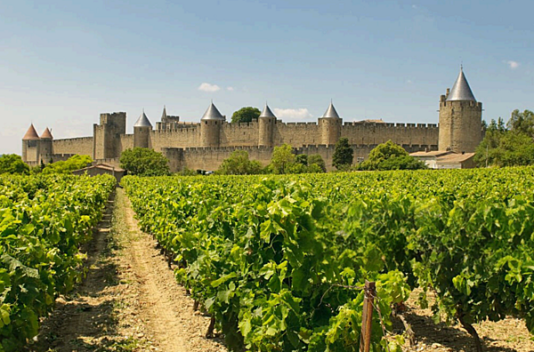 Top 5 des activités estivales recommandées par notre conciergerie Oc Keys en Occitanie