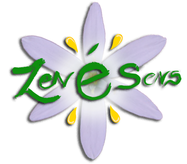 Logo ZenÉsenS