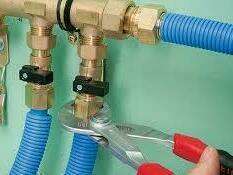 images__1_20220928-2632075-1q6c8id