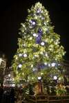 Sapin de Noël illuminé sur place publique traditionnelle