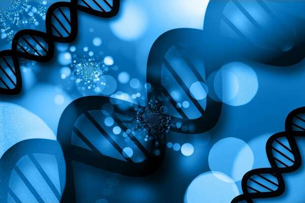 Ce qu'il se passe pendant un jeûne