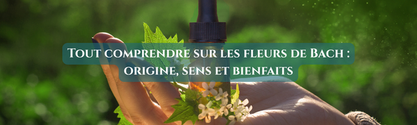 Tout comprendre sur les fleurs de Bach : origine, sens et bienfaits