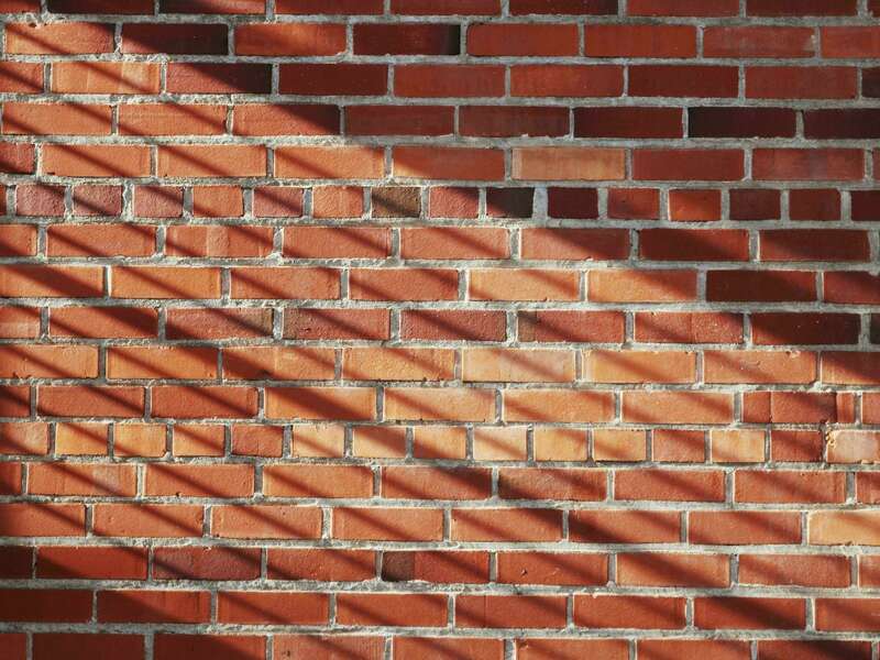 pexels-madison-inouye-1101125