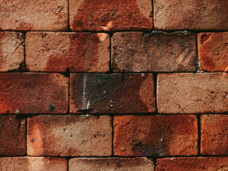 pexels-matheus-bertelli-3752575